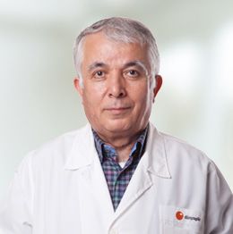 Prof. Husnu